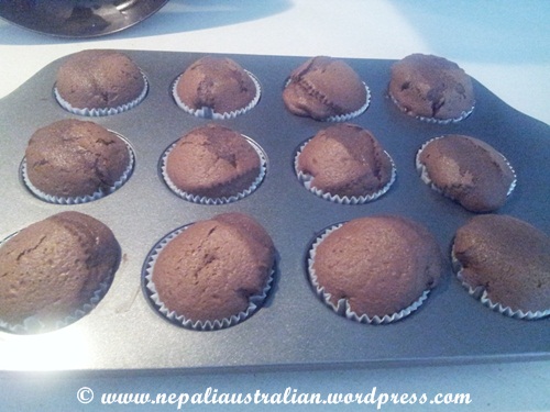 chocolate cupcakes (7)