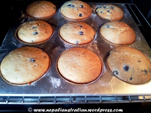 Blueberry muffin (6)