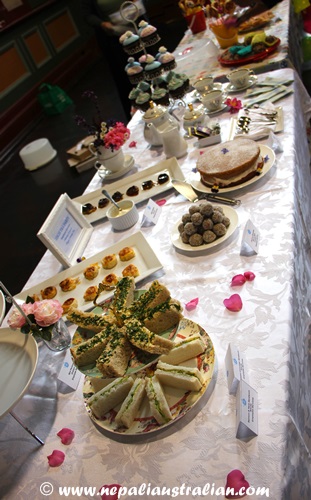 Australia's Biggest Morning Tea 2013