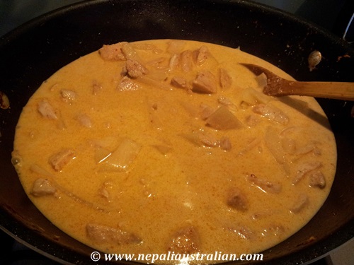 Thai red chicken curry (6)