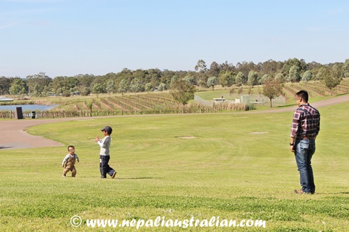 Hunter Valley (4)