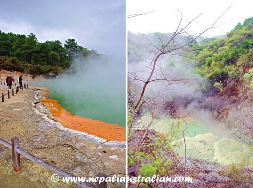 Rotorua and Wai-O-Tapu (13)