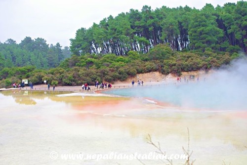Rotorua and Wai-O-Tapu (15)