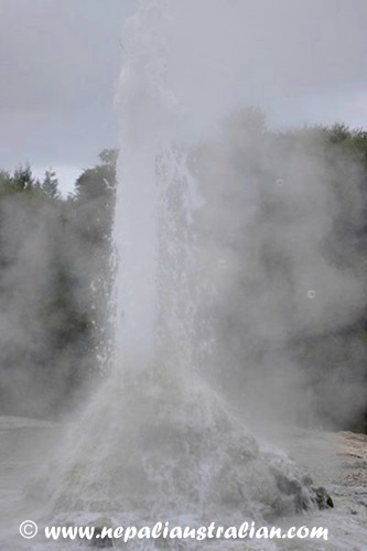 Rotorua and Wai-O-Tapu (24)