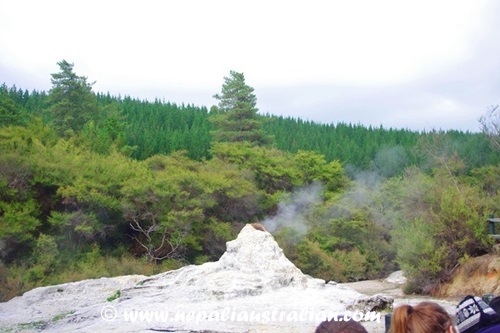 Rotorua and Wai-O-Tapu (26)