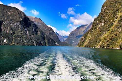 Milford Sound (10)