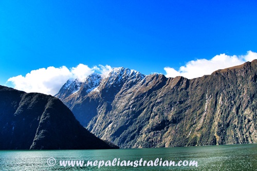 Milford Sound (11)