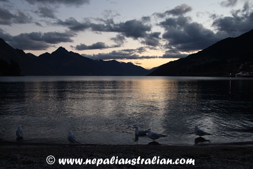 queenstown (7)