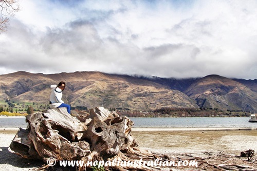 Wanaka (10)