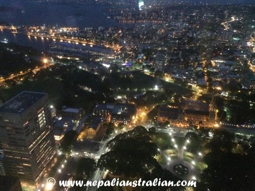 Sydney eye (3)