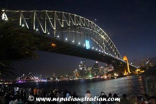 new year fireworks (4)