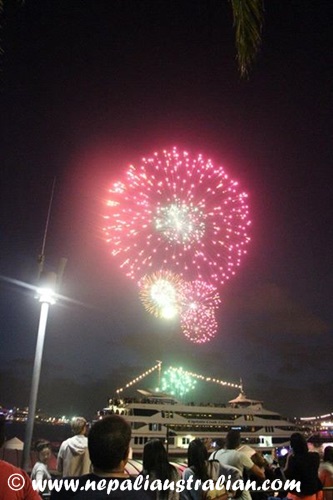 new year fireworks (5)