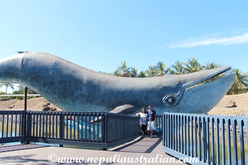 sea world (11)