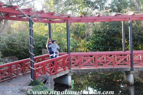 chinese-scholars-garden-3