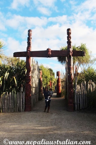 te-parapara-garden-3