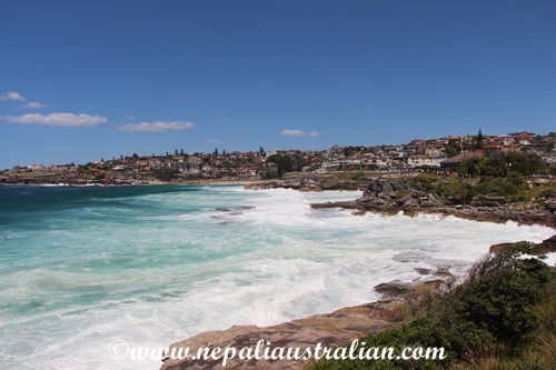 sculpture-by-the-sea-13