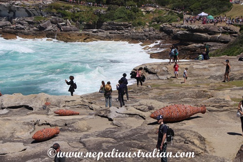 sculpture-by-the-sea-14